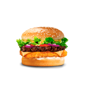 Chicken Beef Burger